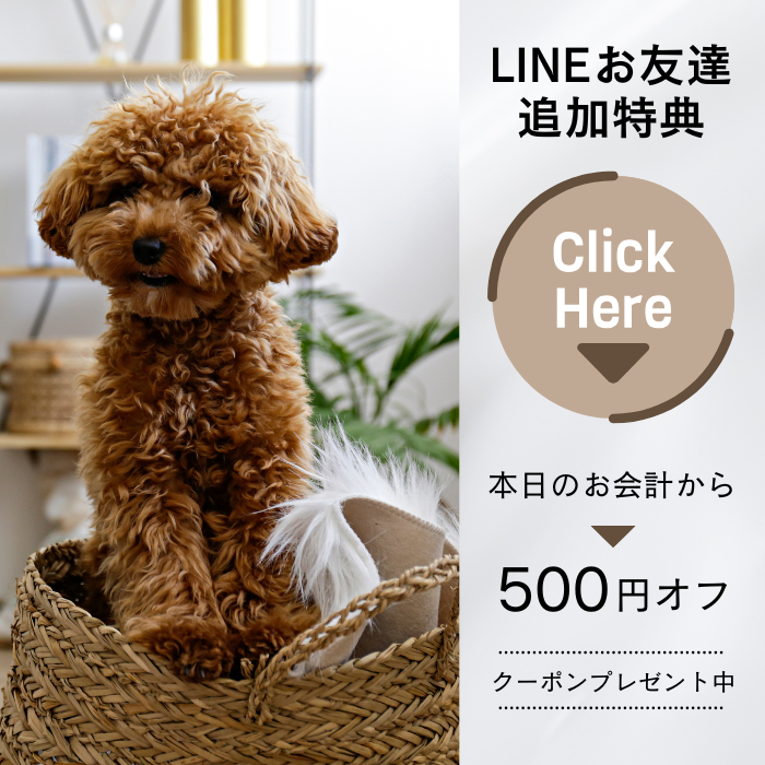 キャンペーン画像