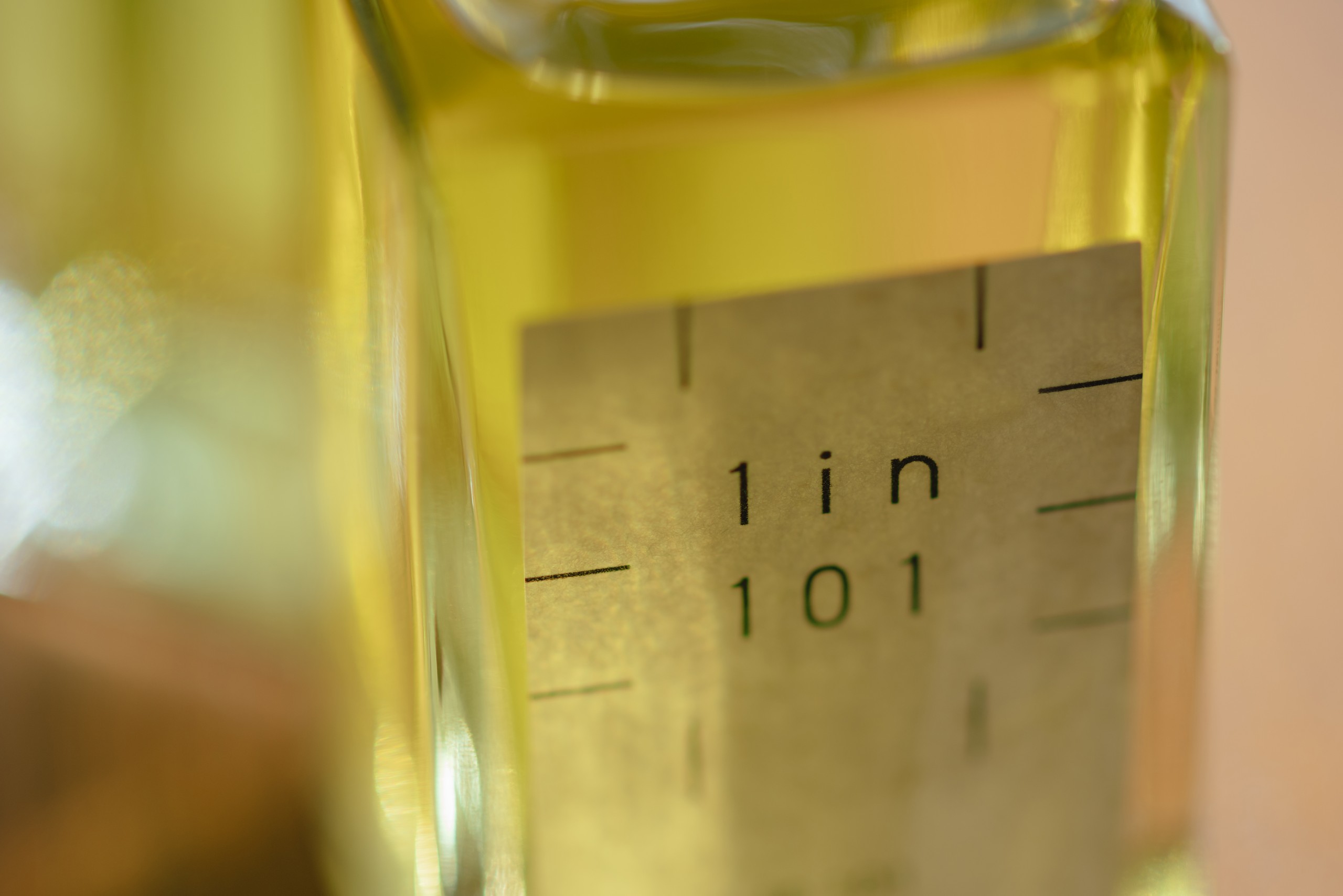 1in101 fragrance