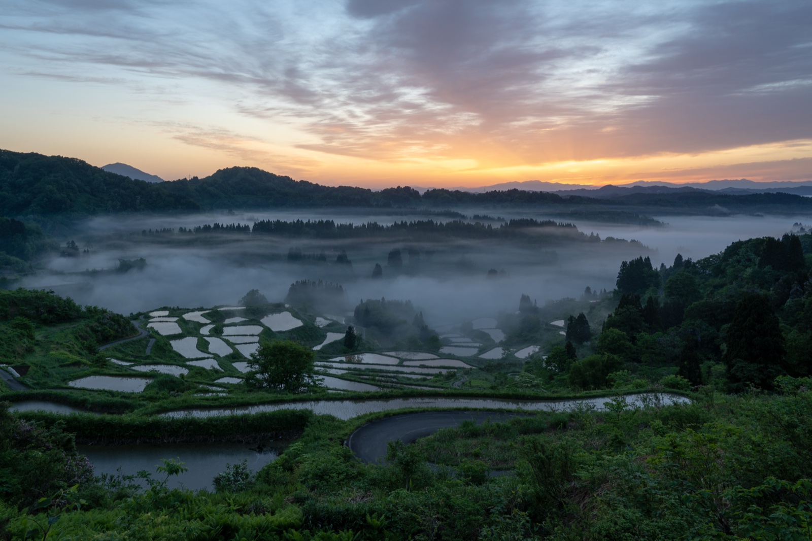 新潟の棚田と朝霧の風景