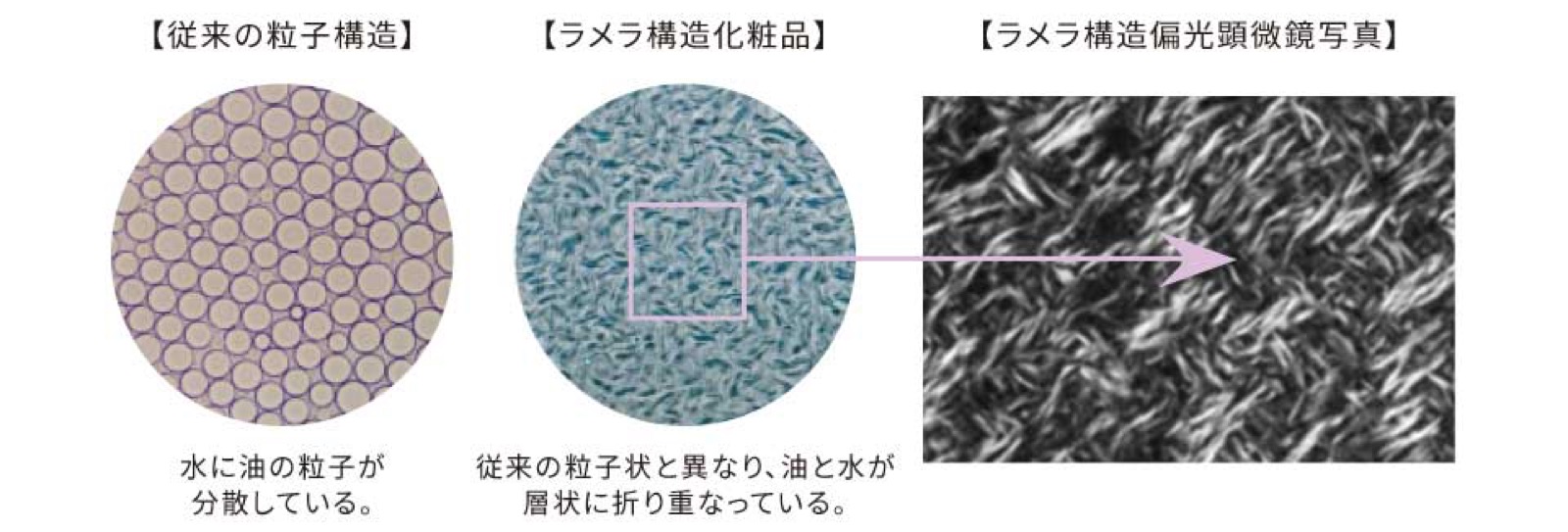 ラメラ構造 模式図
