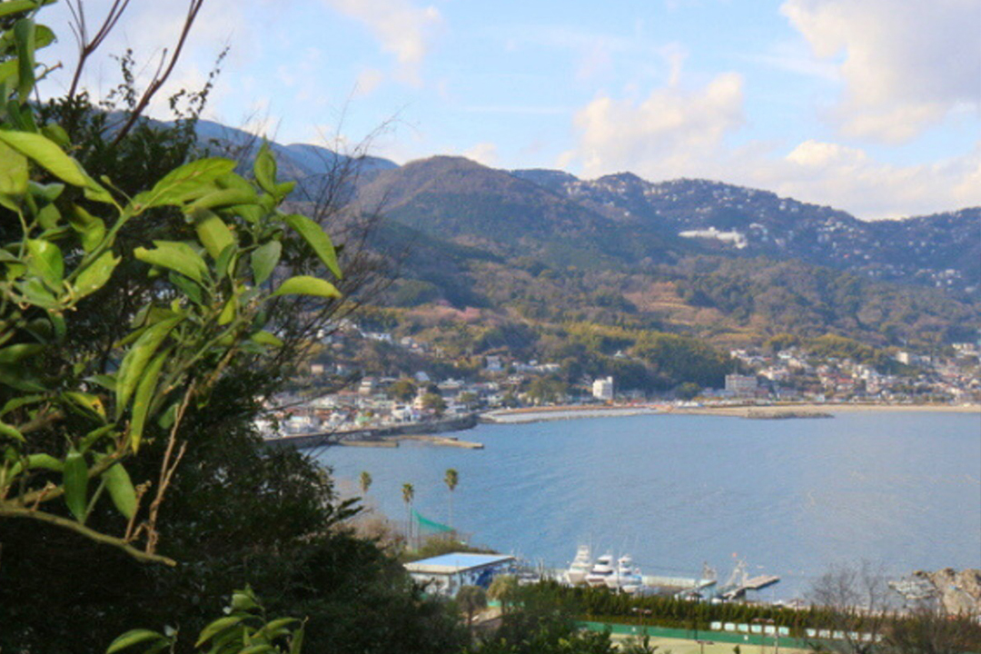 西島農園の農園主