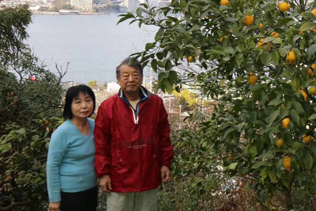 みかん山と相模灘。熱海の絶景が広がる西島農園。