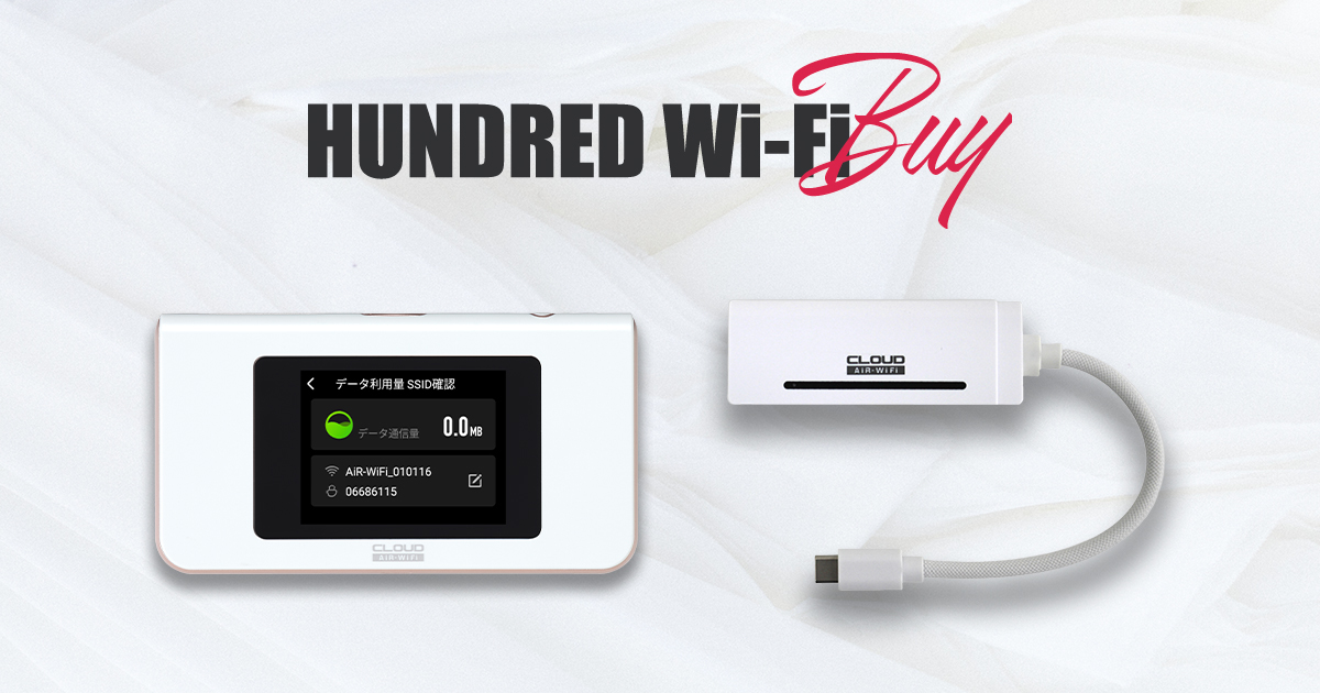 国内ギガ（100GB）+ モバイルルーター（HUNDRED Wi-Fi チャージ