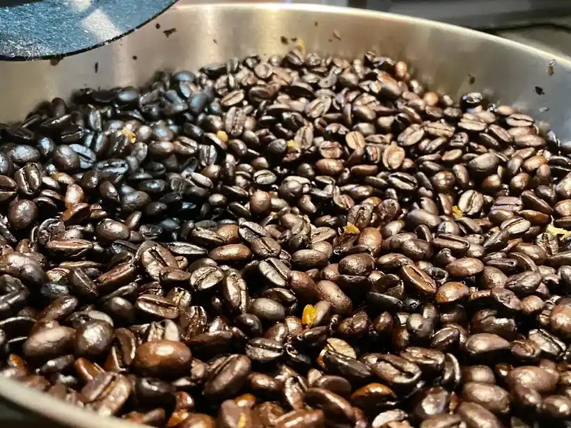 焙煎したてのコーヒー豆