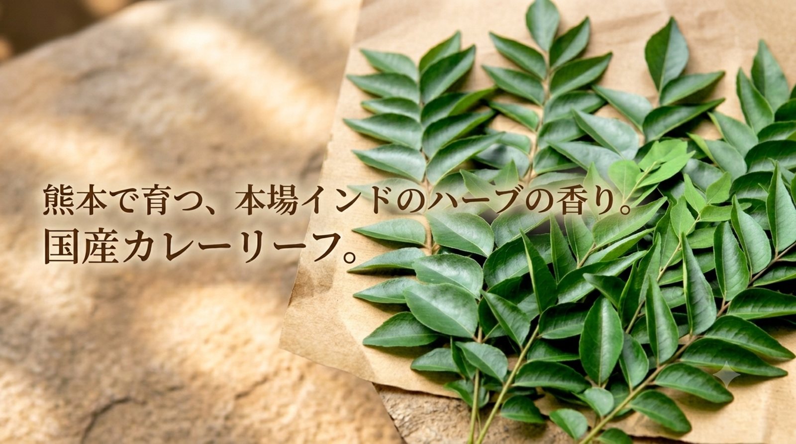 踊る太陽スパイスファーム