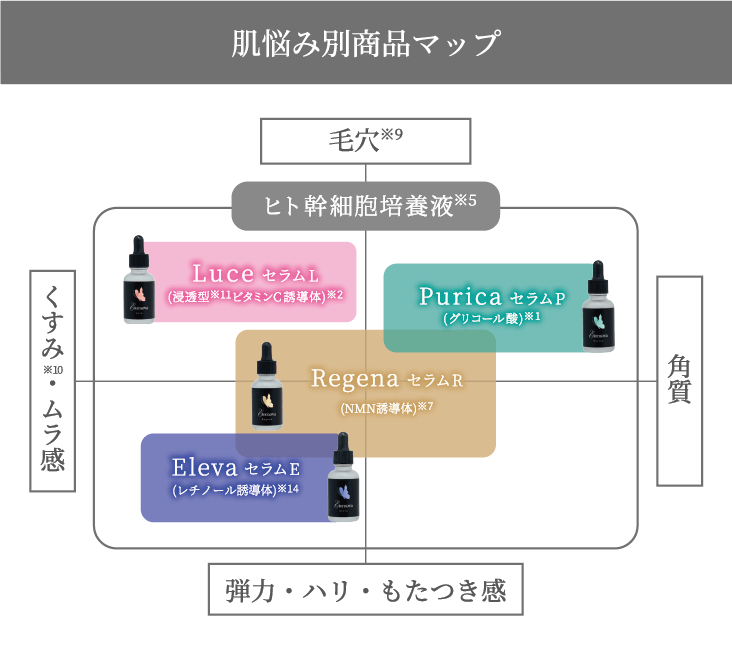 商品マップ