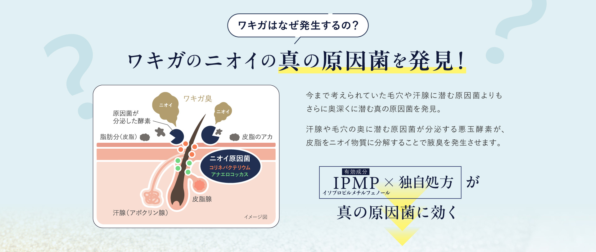 ワキガ、ニオイ悩みのファイナルアンサー ファイナルデオ