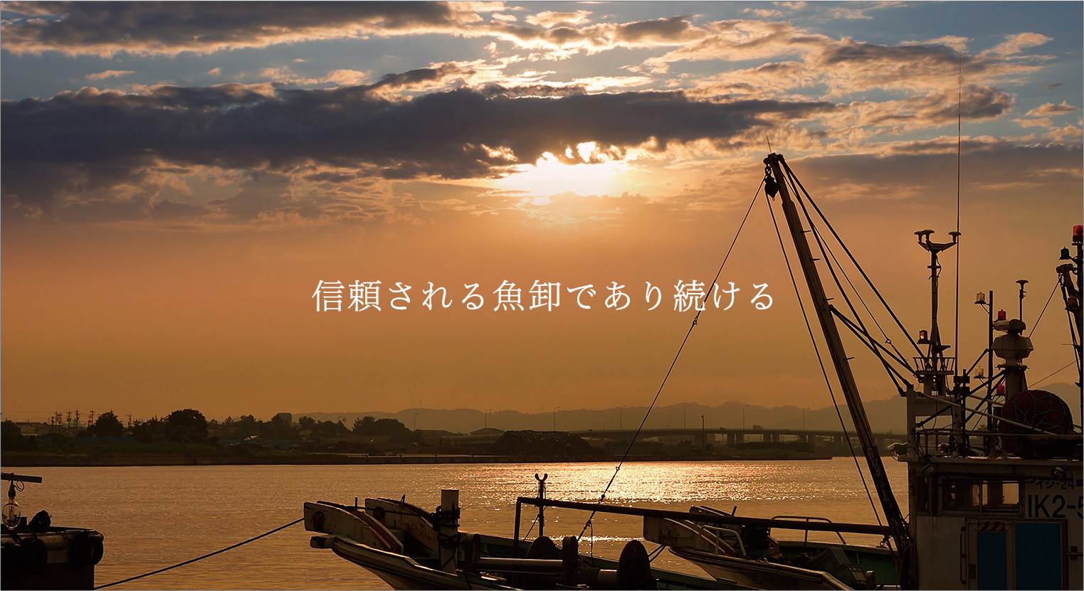 橋爪商店
