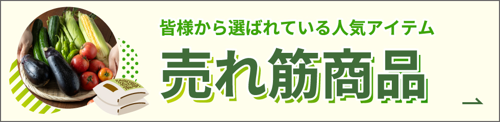 売れ筋商品　詳細はこちら