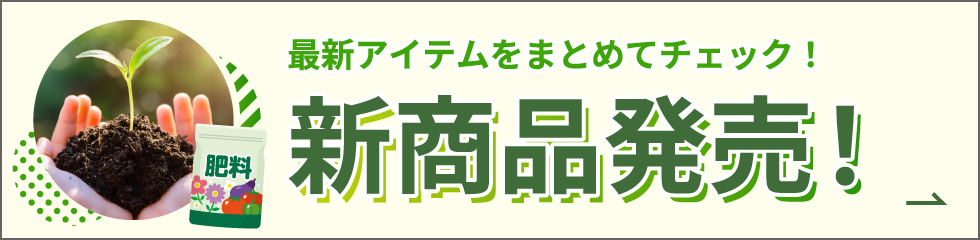 新商品発売　詳細はこちら