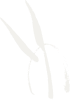 logo_sp