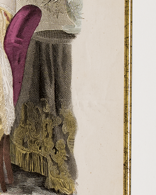 Framed Antique f-25 シリーズ LA MODE ILLUSTREE | irene