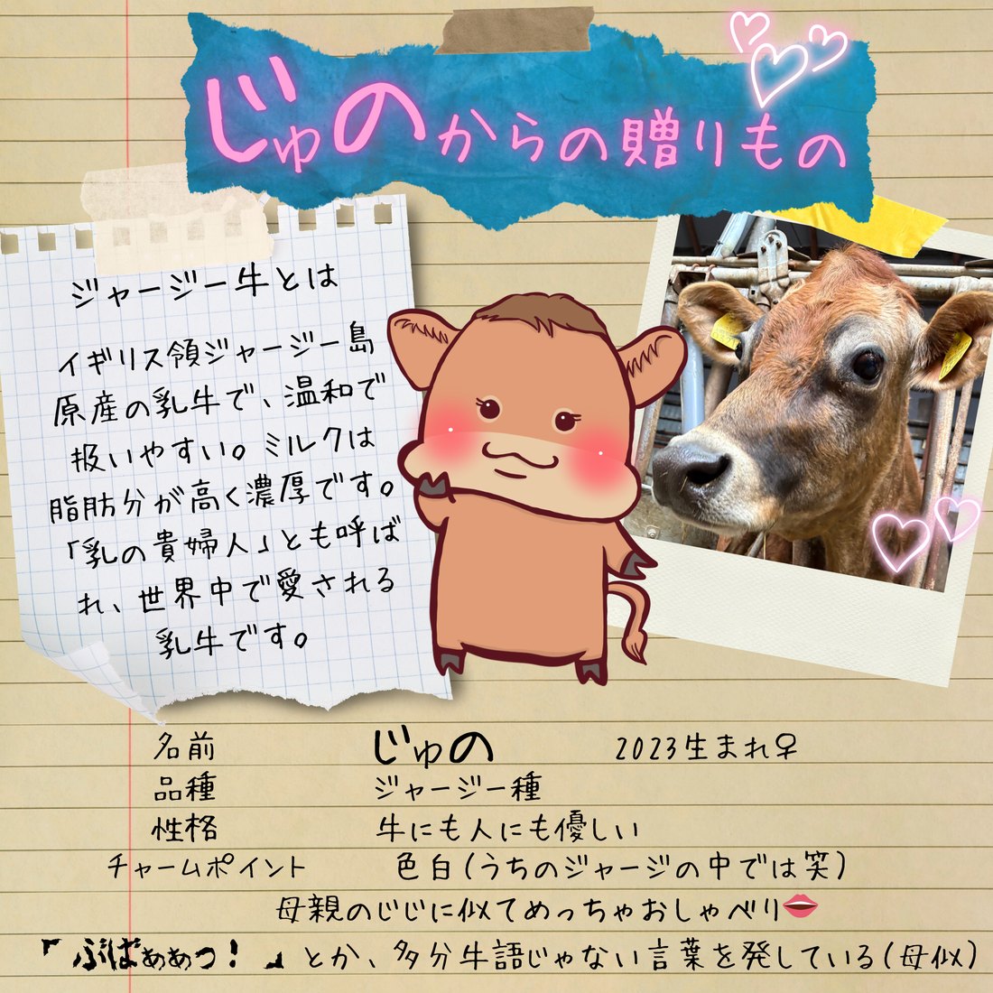 『じゅの』からの贈りもの