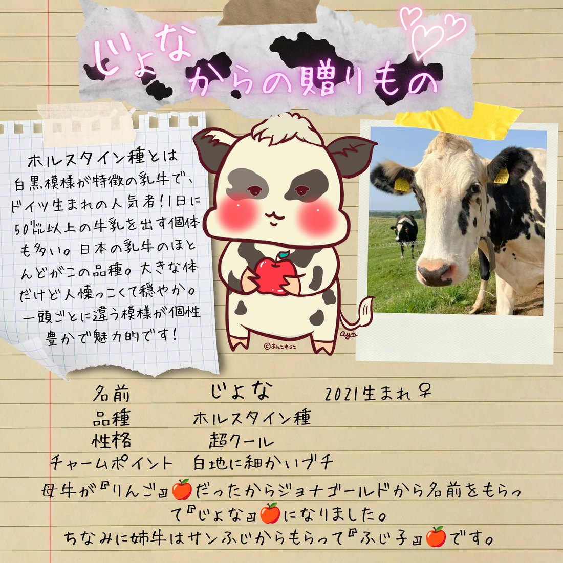 『じょな』からの贈りもの
