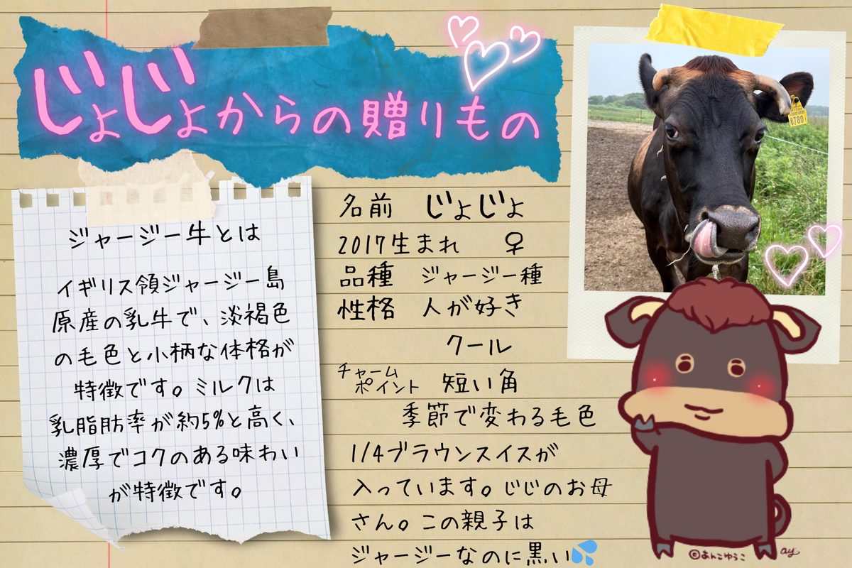 『じょじょ』からの贈りもの