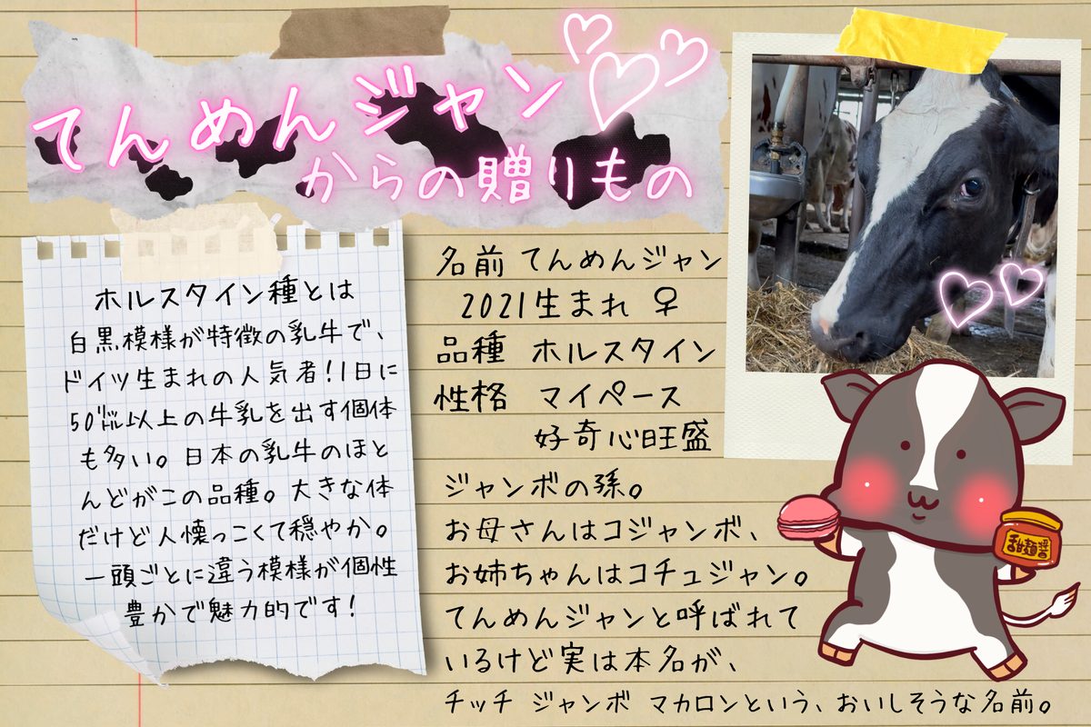 『てんめんジャン』からの贈りもの