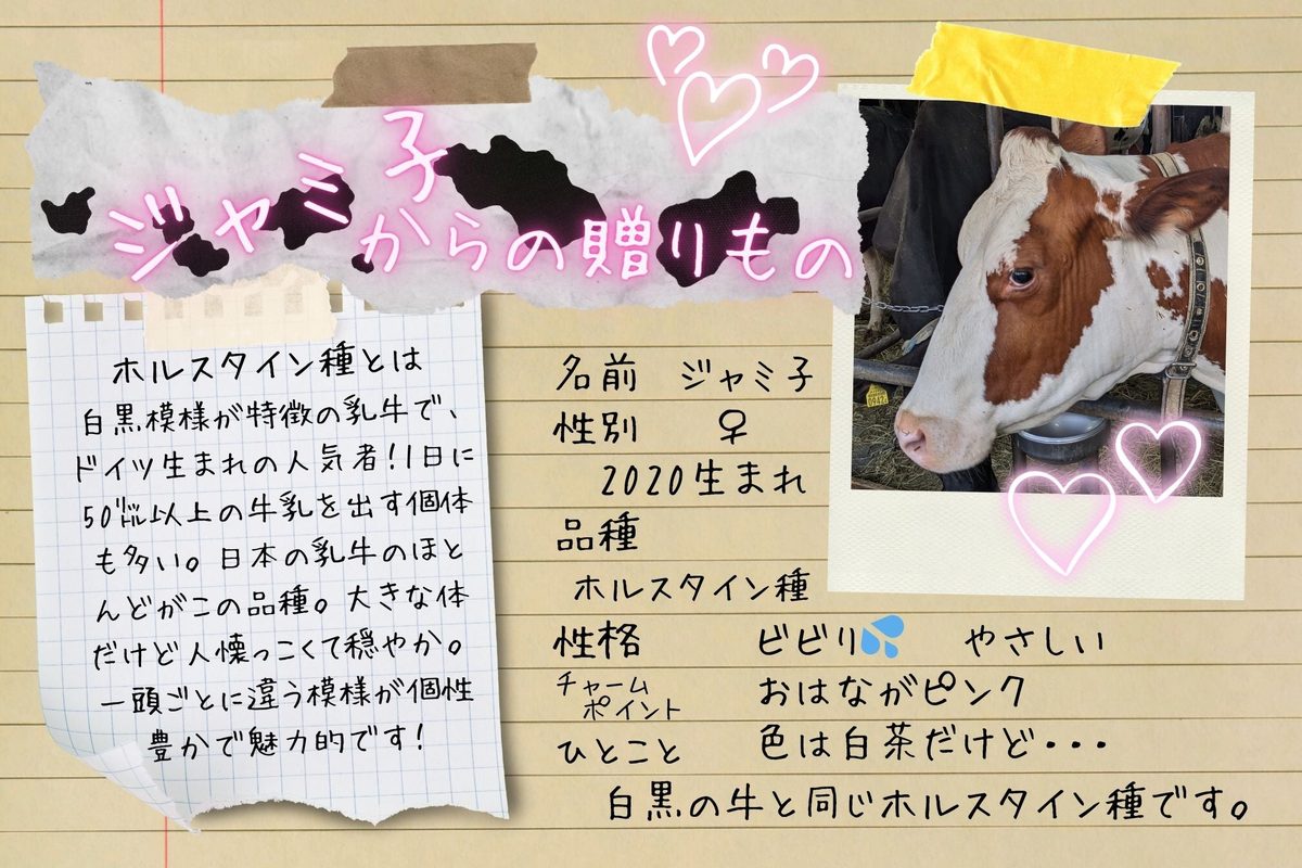 『ジャミ子』からの贈りもの