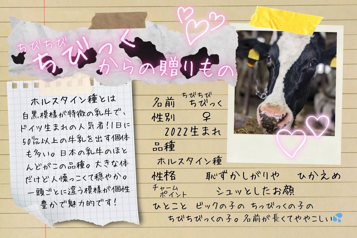 『ちびちび ちびっく』からの贈りもの
