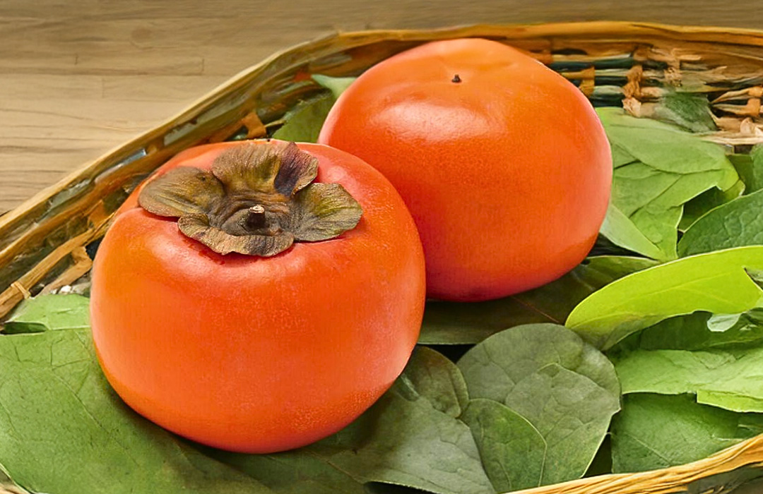 富有柿