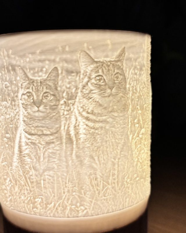 親子ねこのフォトランプ点灯写真