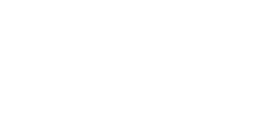 The Next 100 Years