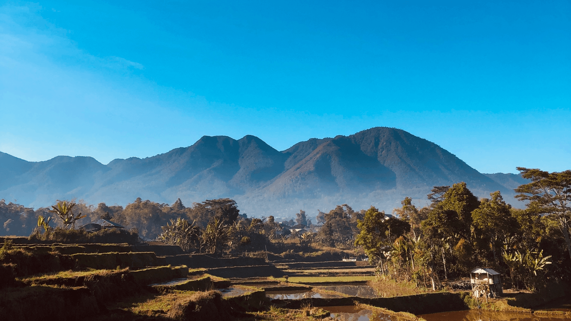 Gayo, North Sumatra