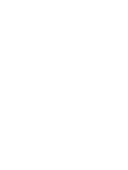 LAVO logo