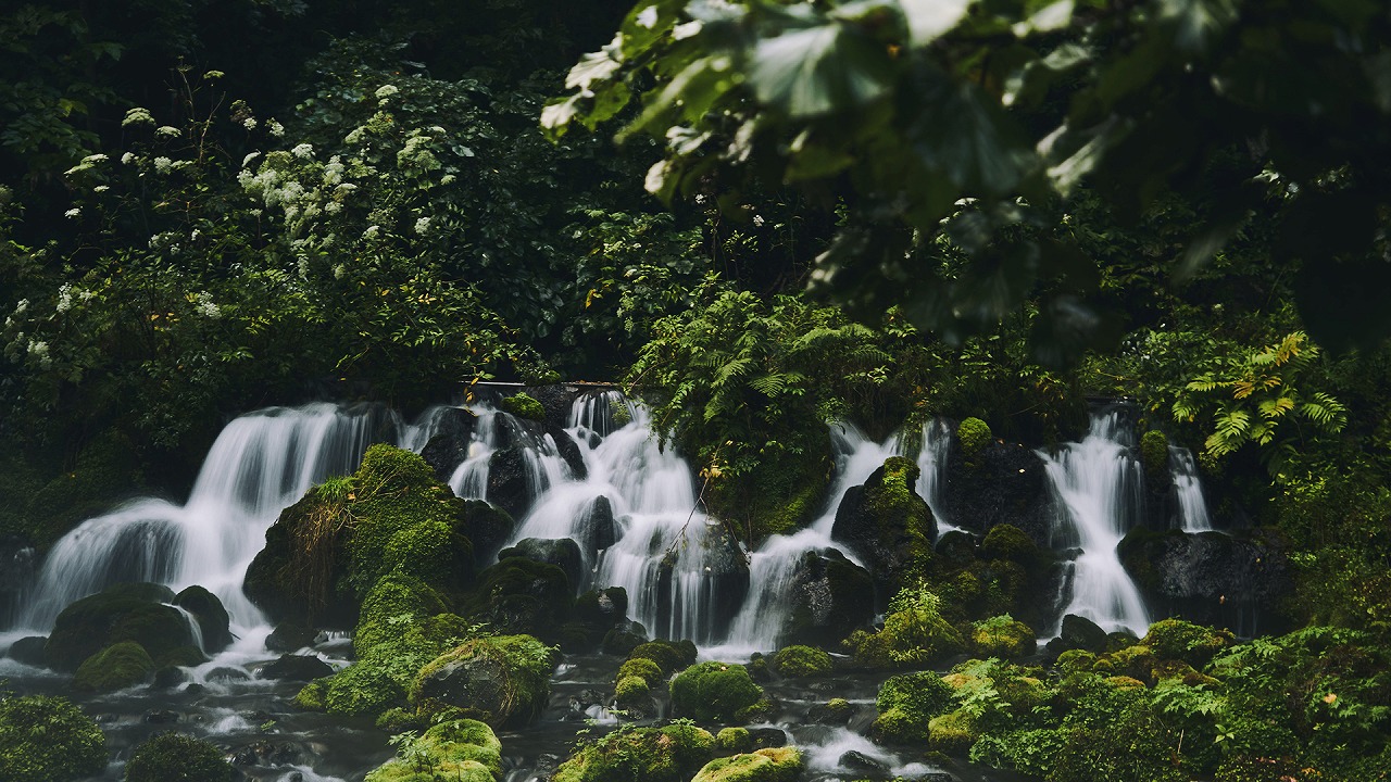 メインビジュアル