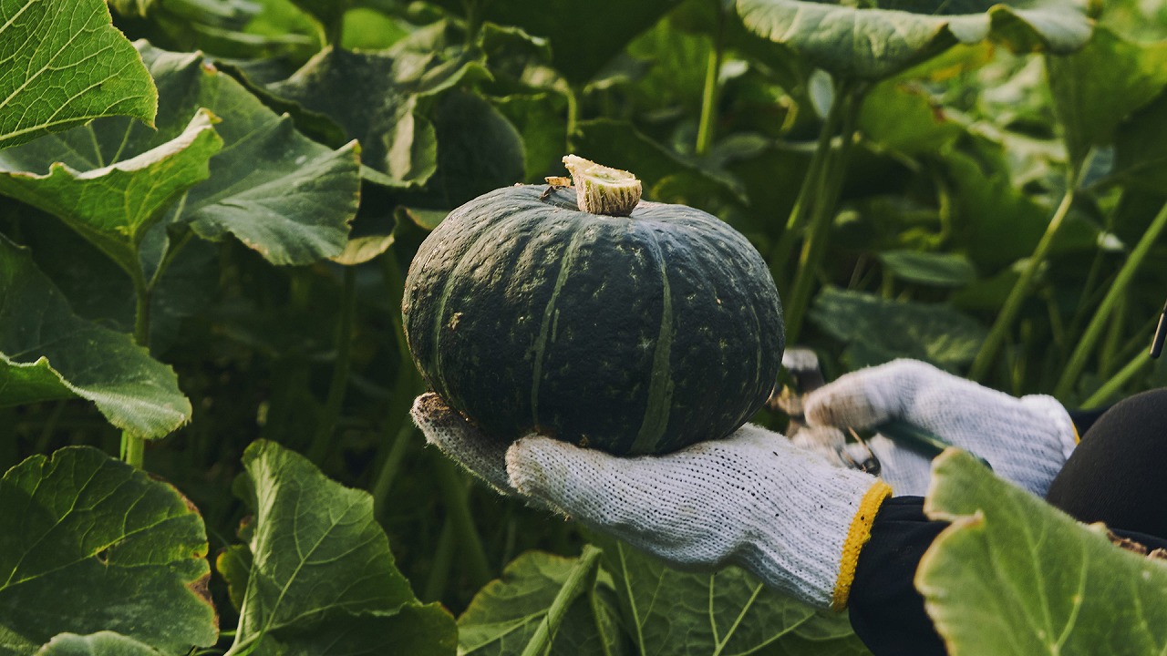 メインビジュアル