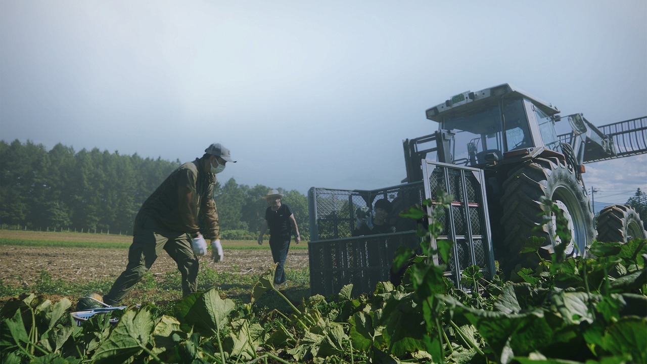 メインビジュアル