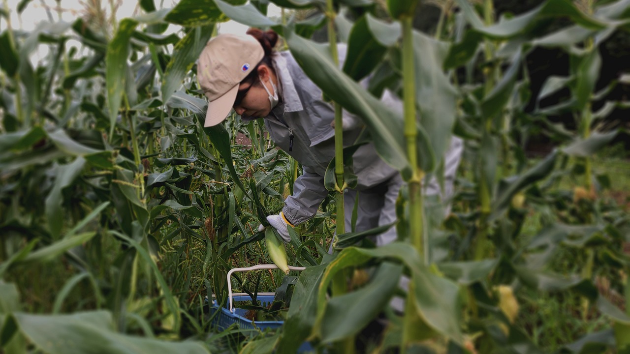 メインビジュアル