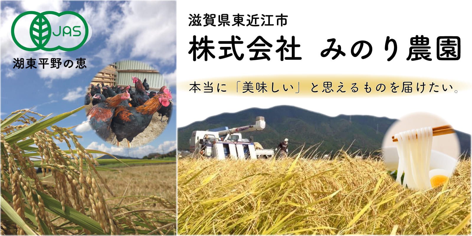みのり農園の田んぼ
