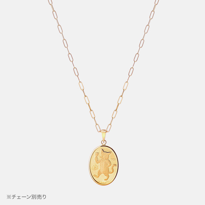 チェーン装着イメージ（チェーン別売）
