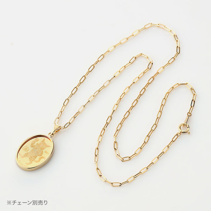 チェーン装着イメージ（チェーン別売）