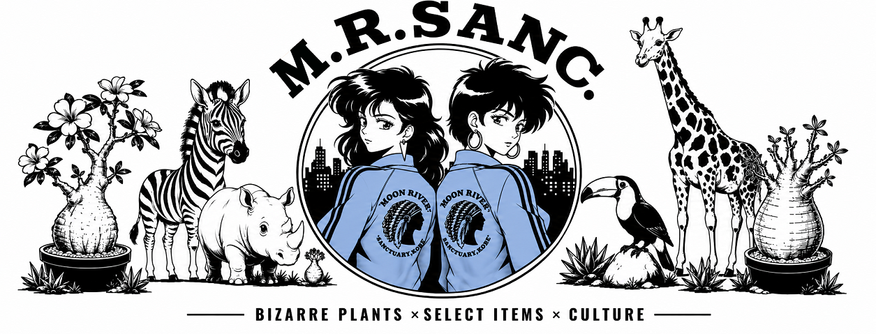 Moon River Sanctuary