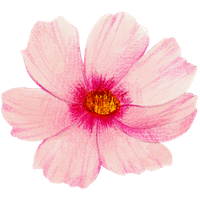 Pink Red
