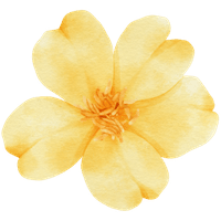 Orange Yellow