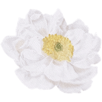 White Silver Monotone