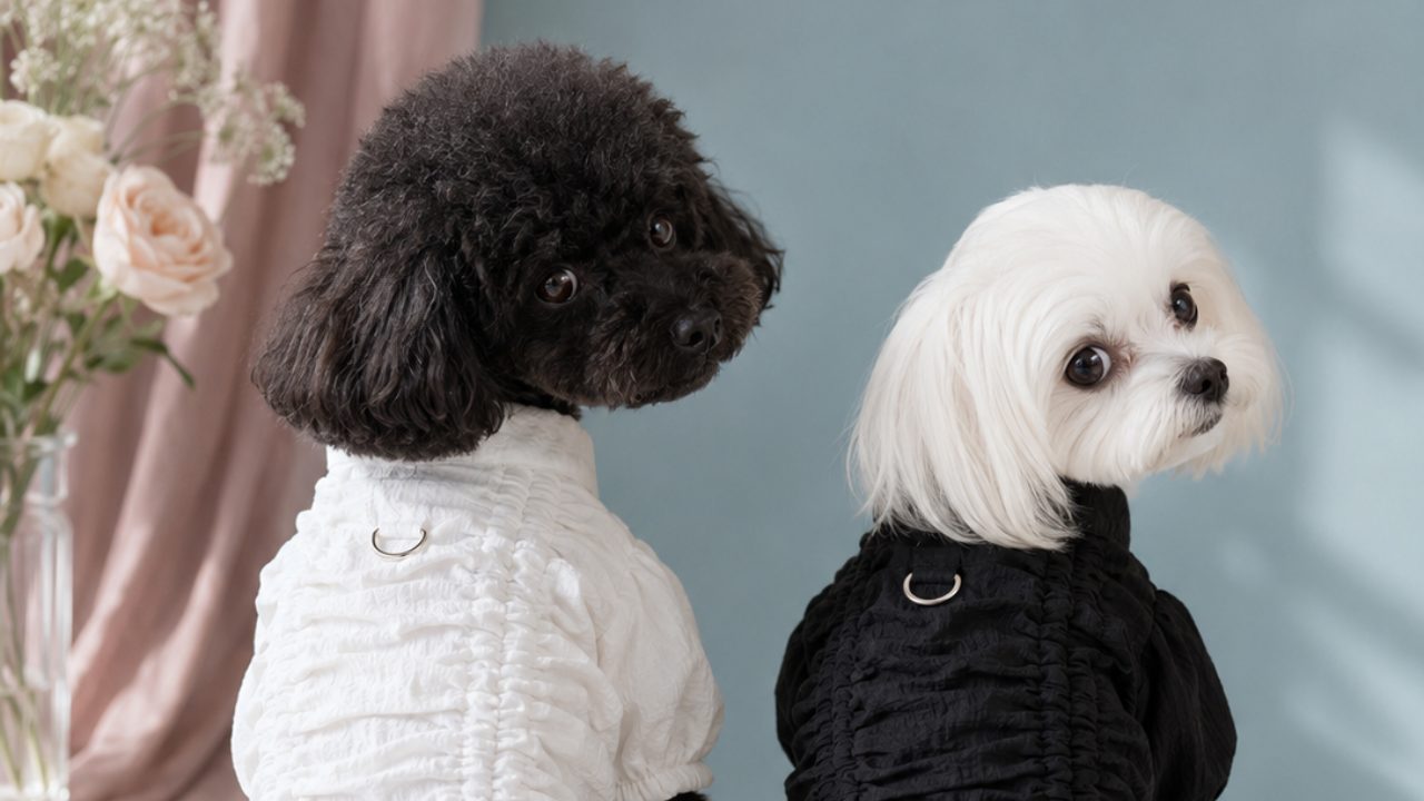nana.dog 新作コレクション
