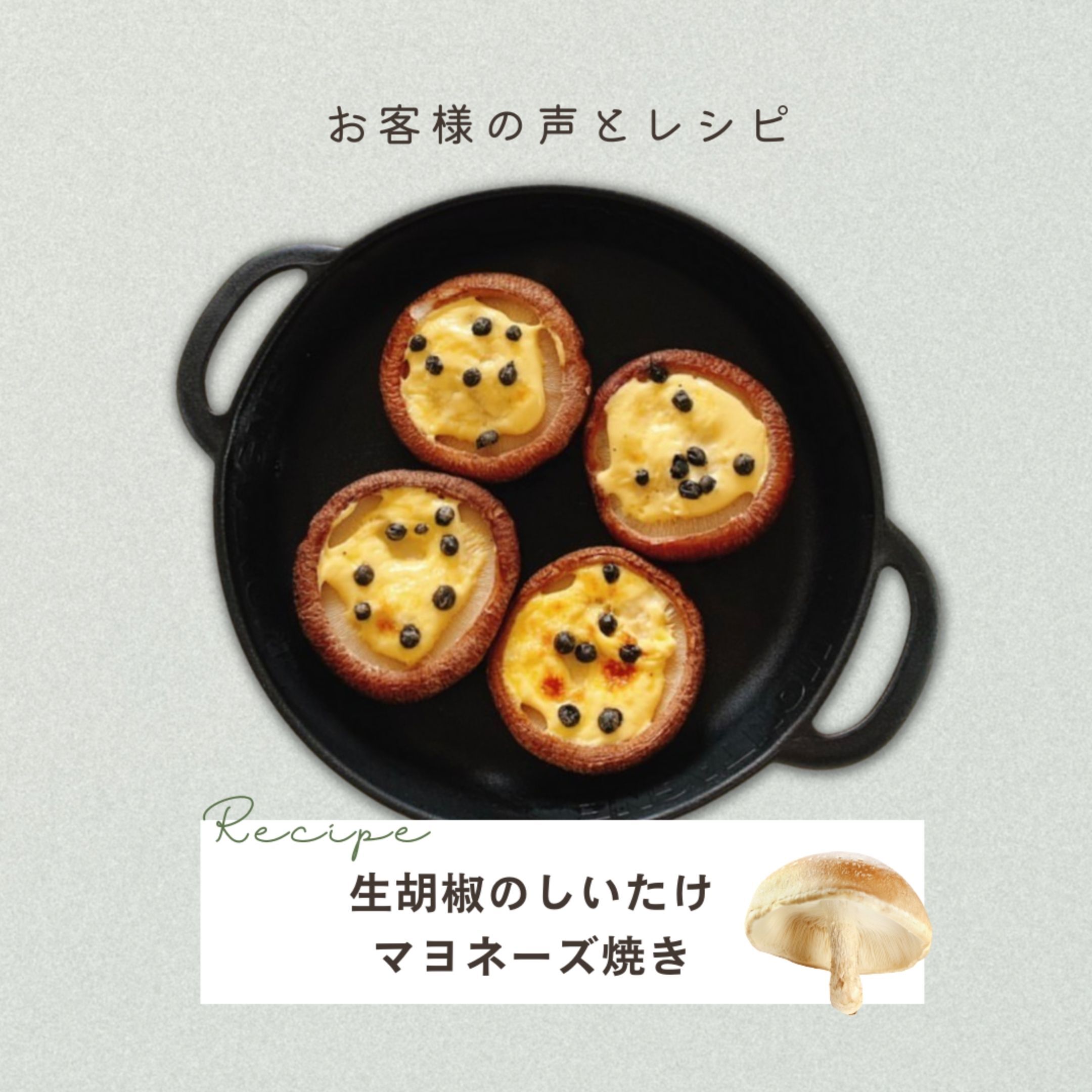 Green Pearl 生胡椒 の塩漬け 世界一のスパイス Kampot産 生胡椒