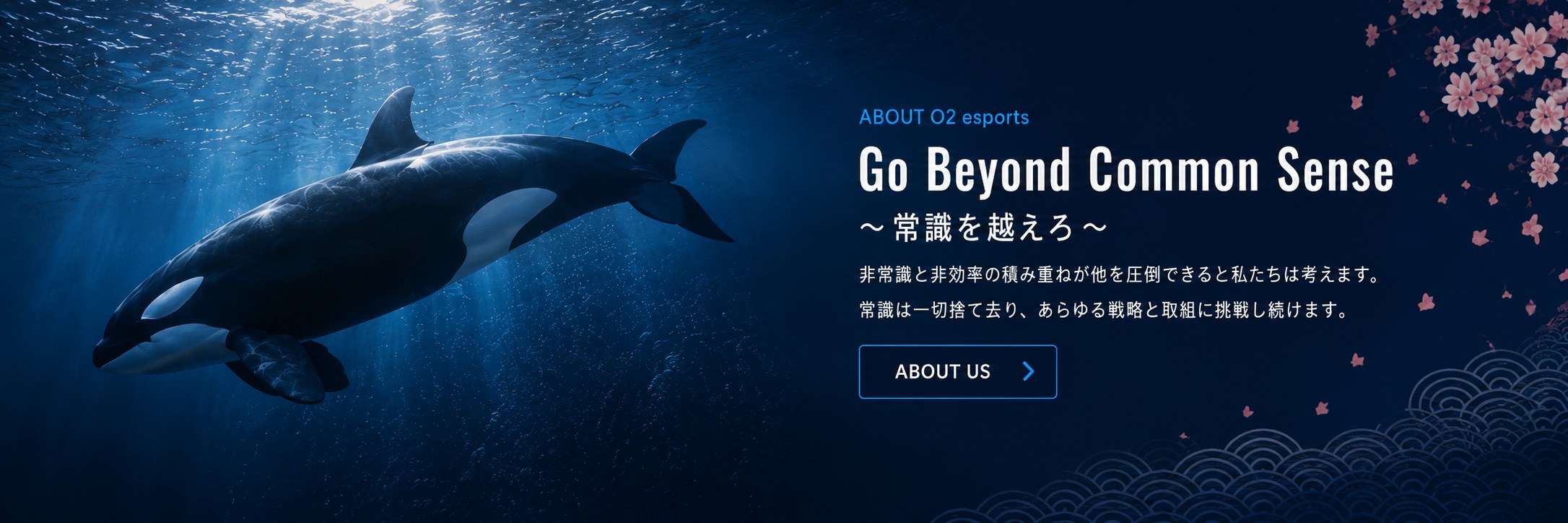 ABOUT O2 esports Go Beyond Common Sense