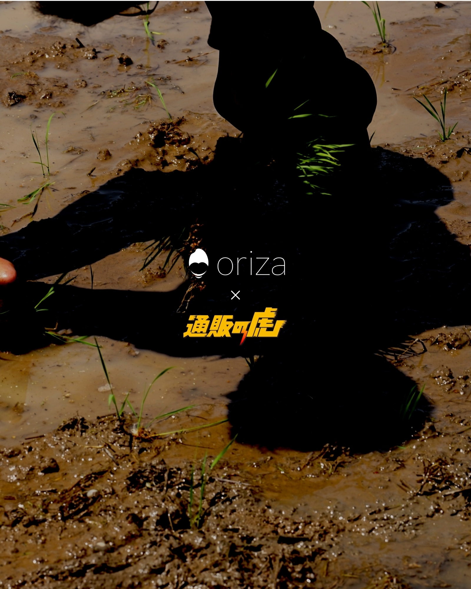 oriza × 通販の虎