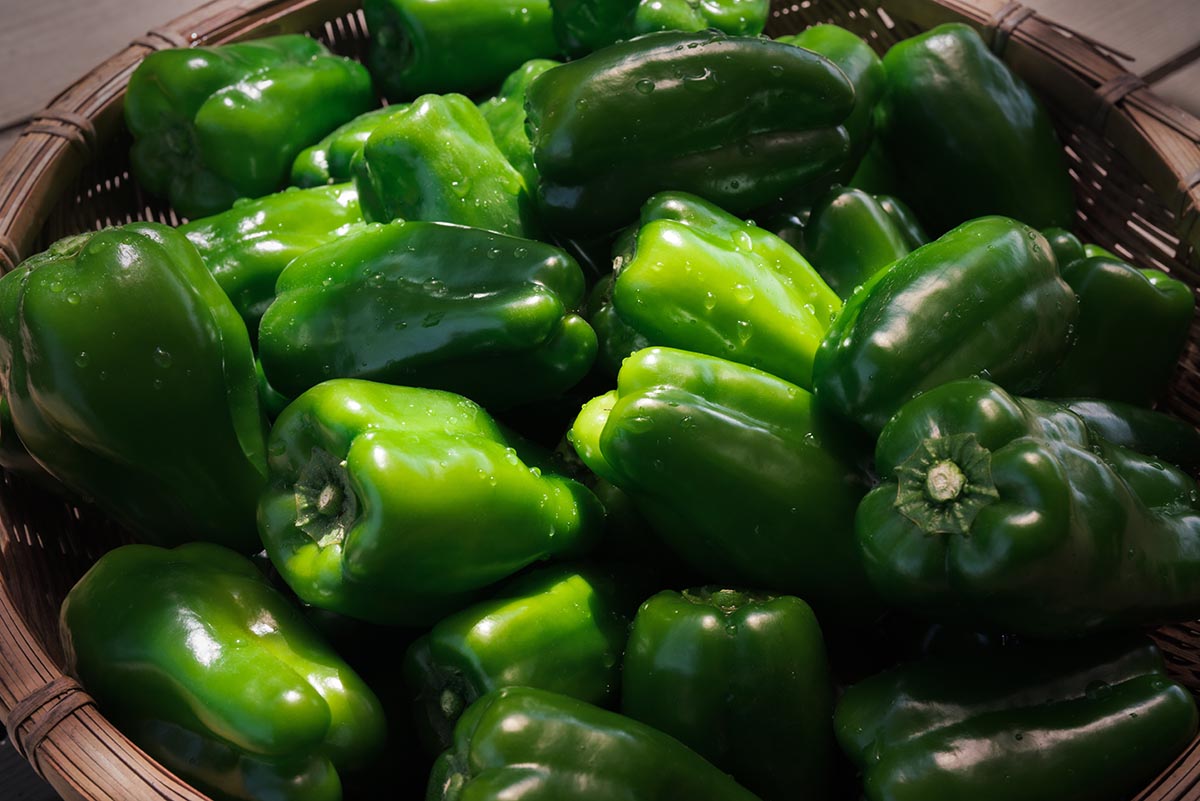 Otani Farmの美味しいピーマン