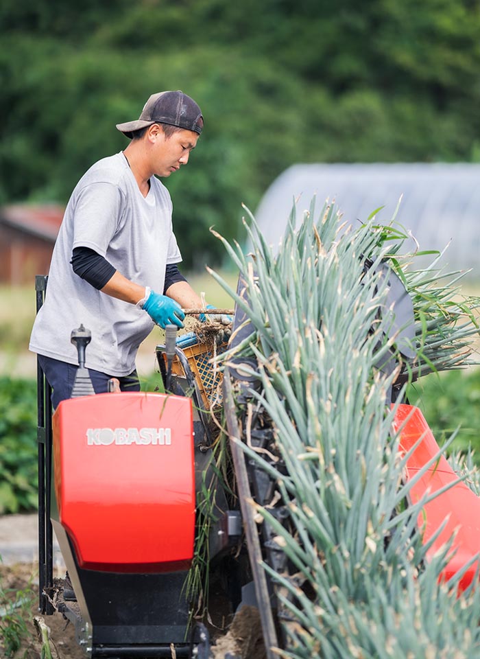 管理した収穫時期