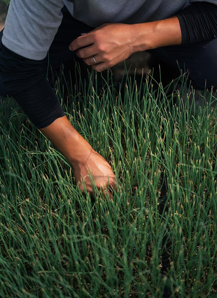美味しさを追求