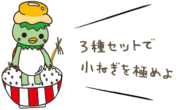 小ねぎ醤油 小ねぎ塩だれ 小ねぎポン酢 各1本 箱入 北海道ぴっぷ商店