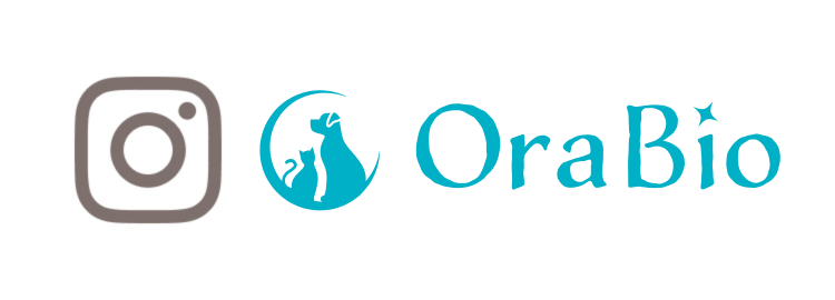 オーラバイオインスタリンク