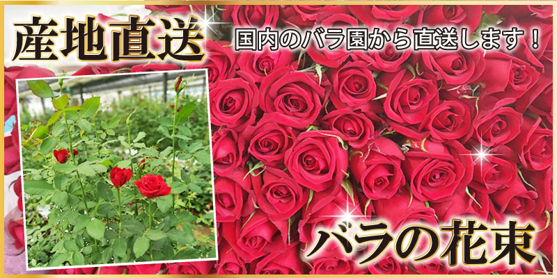 産地直送バラの花束