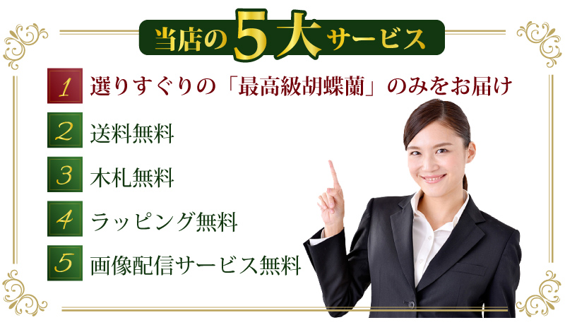 当店の5大サービス