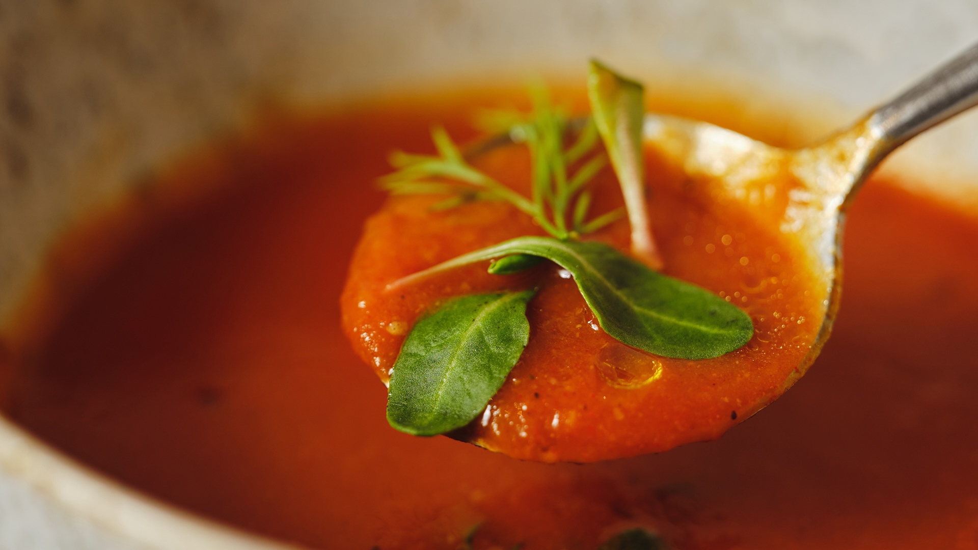 RAW SOUP